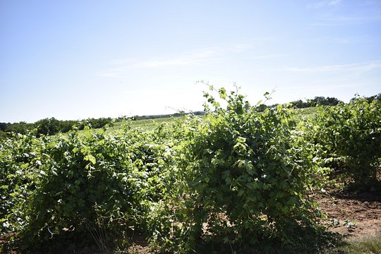 Tour image 12