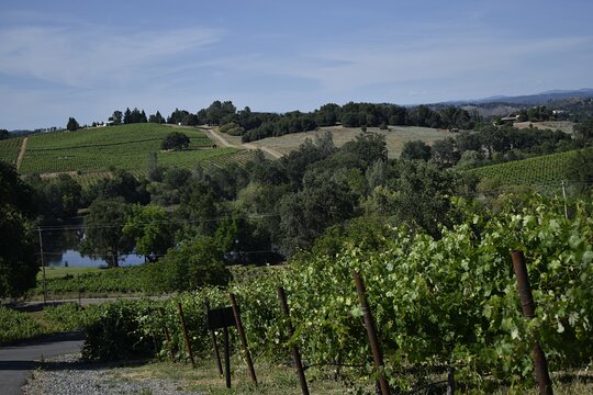 Tour image 6